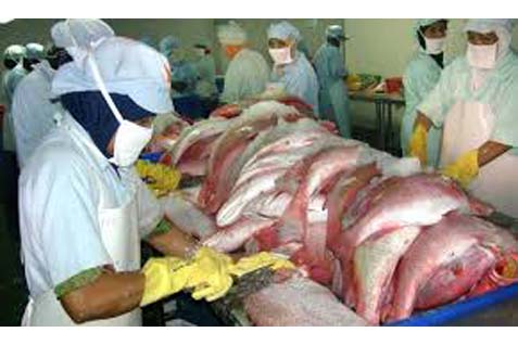  Sulut Usulkan Bea Masuk Ikan Olahan RI Dibahas di WTO